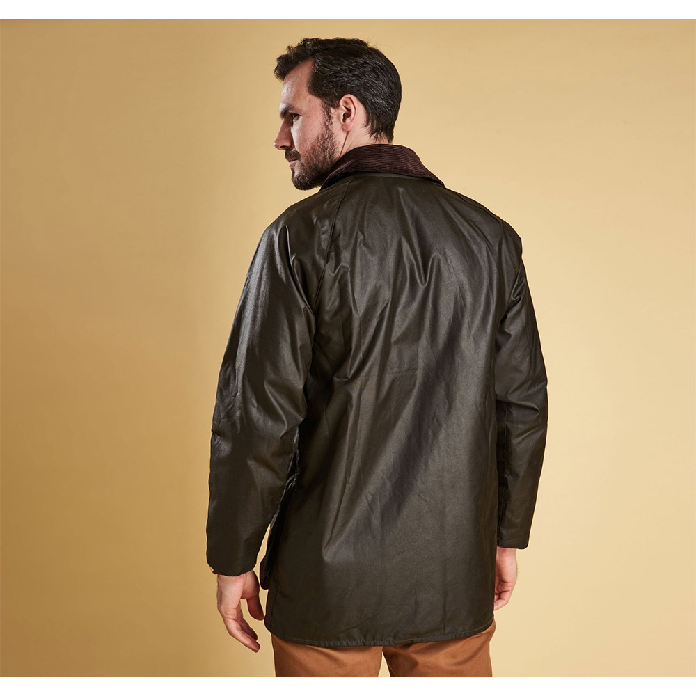 A0830-Olive3 A0830-Olive3